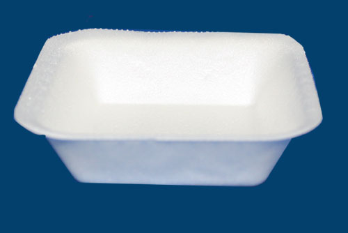 Foam Bowl